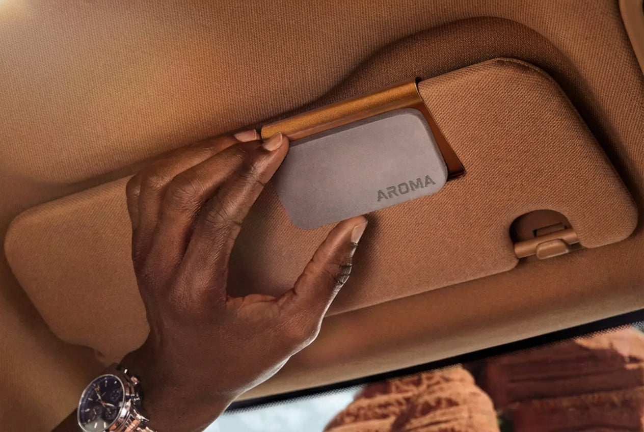 DÉSODORISANT POUR VOITURE EFFET PIERRE